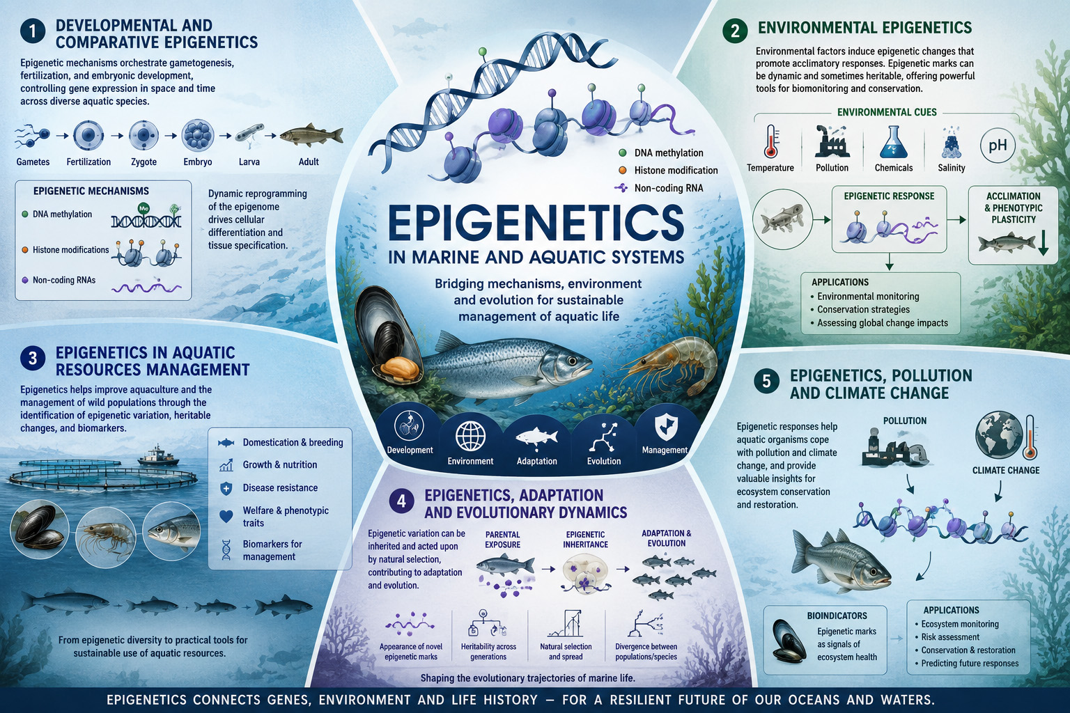 Epigenetics Topics Infographic